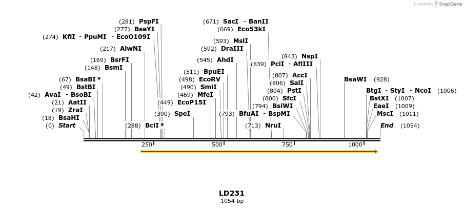 124509_map