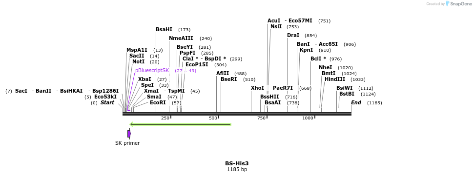 124515_map