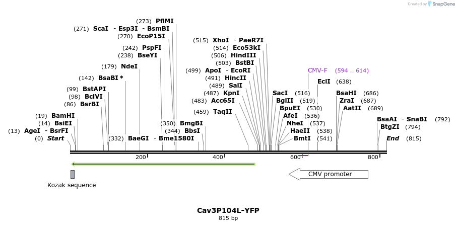 124520_map