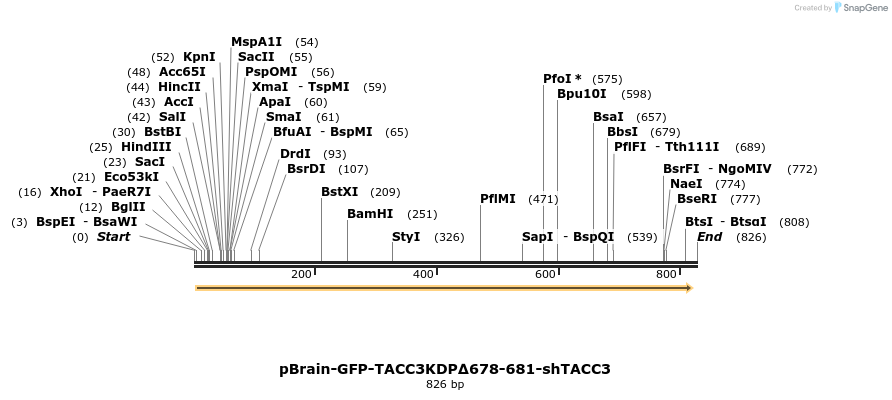 124521_map