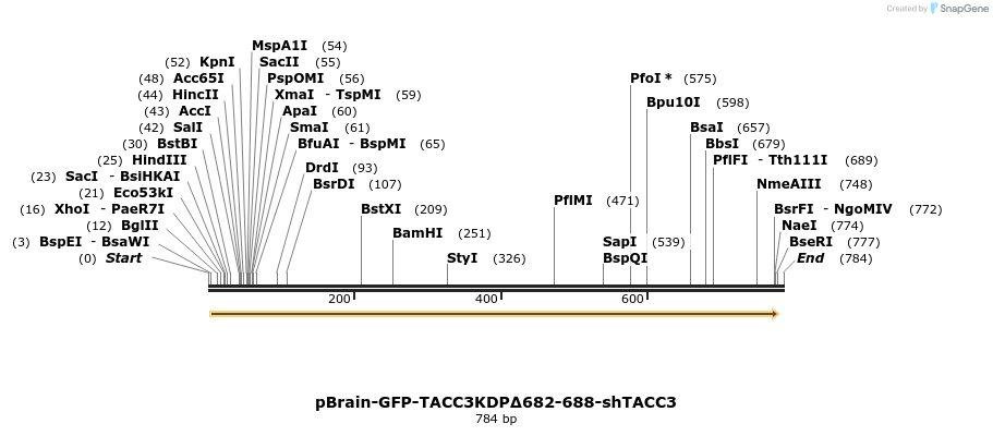 124522_map