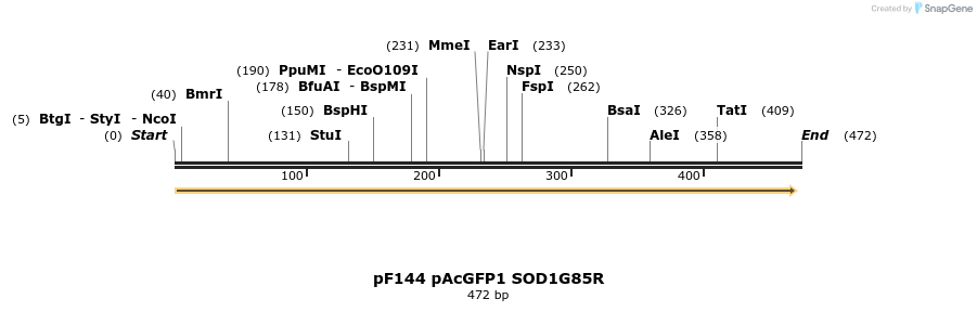12453_map