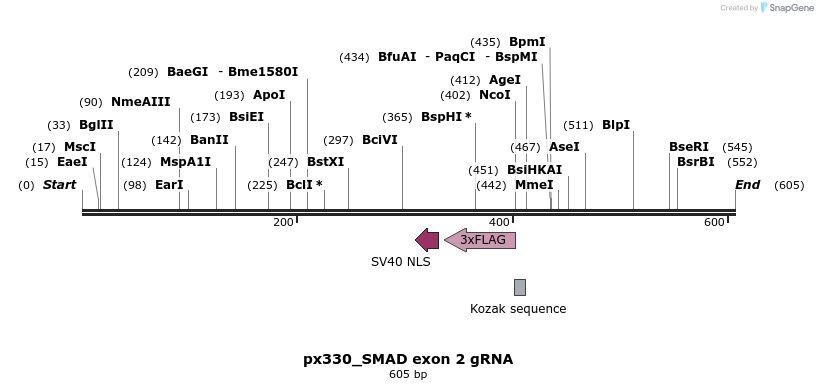 124530_map