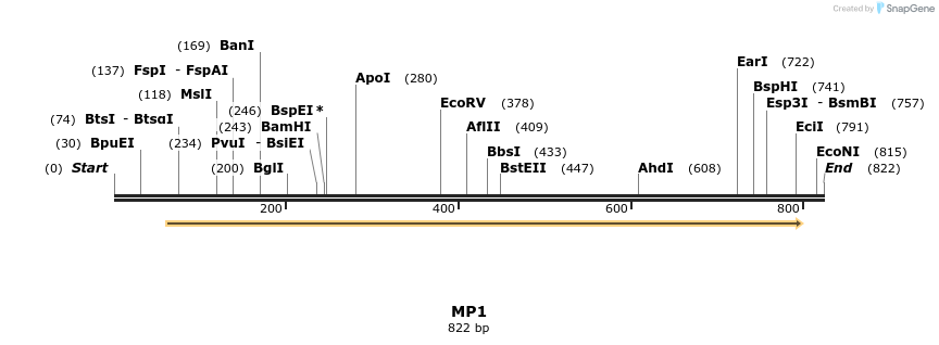 124533_map