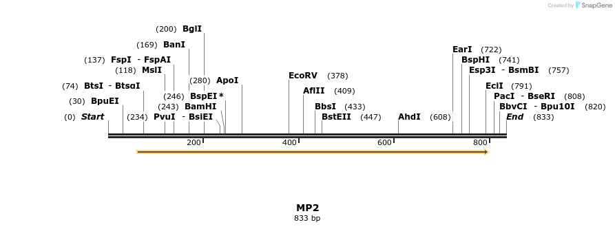 124535_map