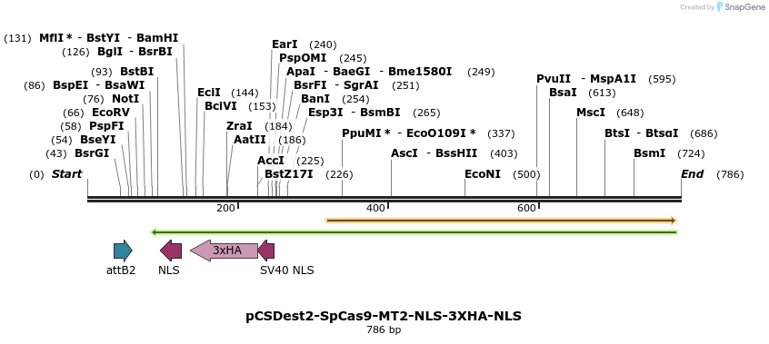 124538_map