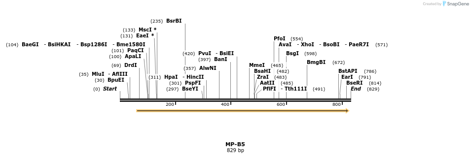 124540_map