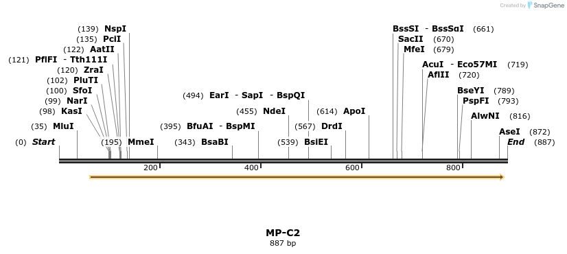 124543_map