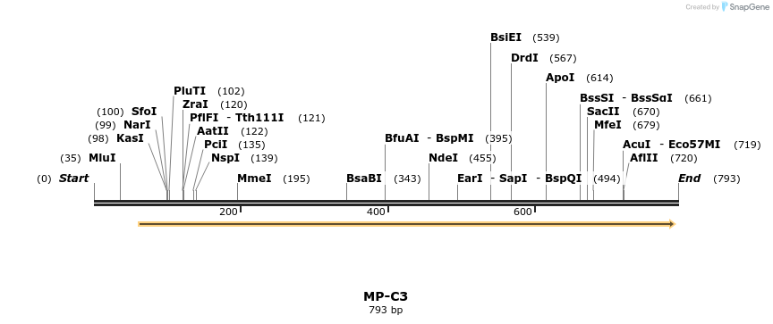 124546_map