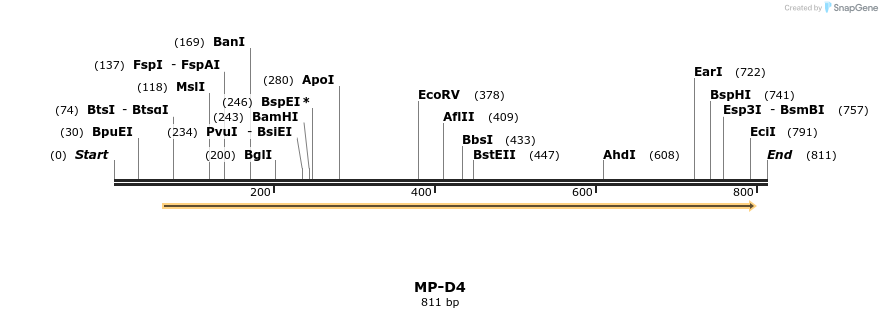 124549_map