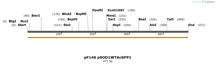 12455_map