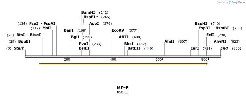 124551_map