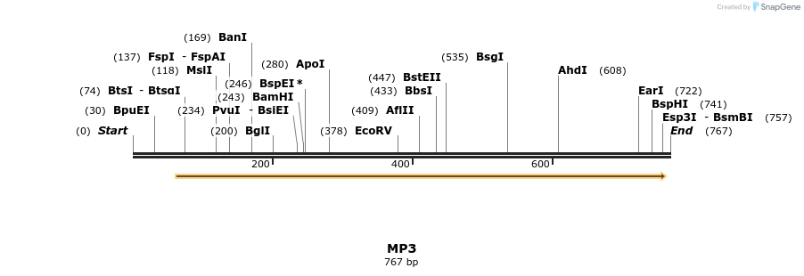 124559_map