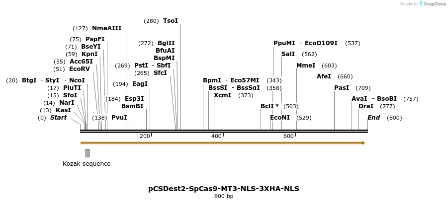124561_map