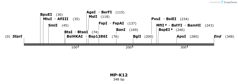 124563_map