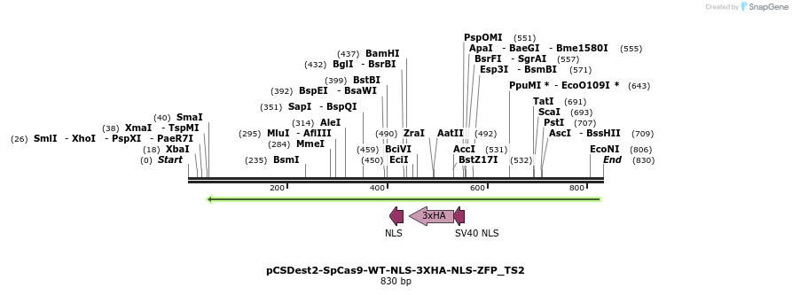 124566_map