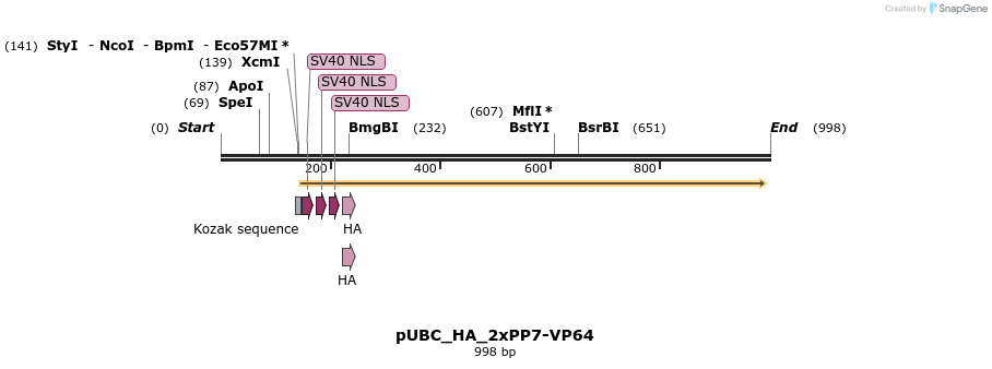 124567_map