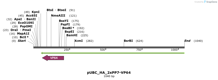 124568_map