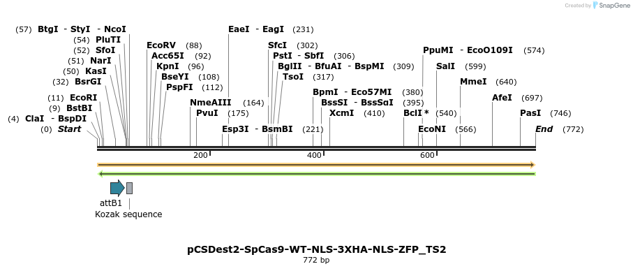 124569_map