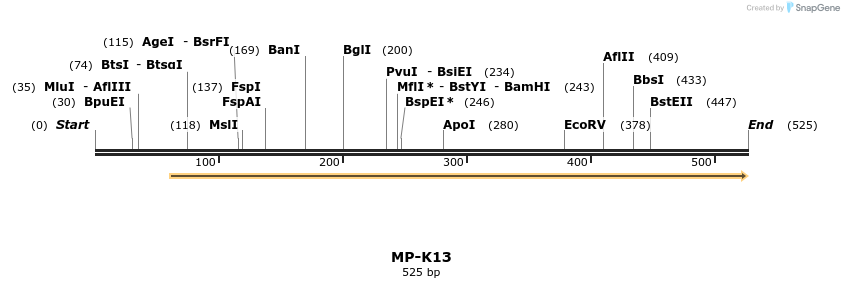 124570_map
