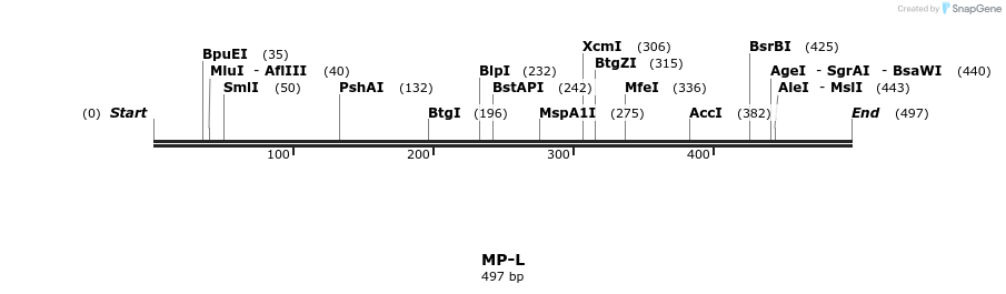 124571_map