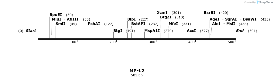 124572_map