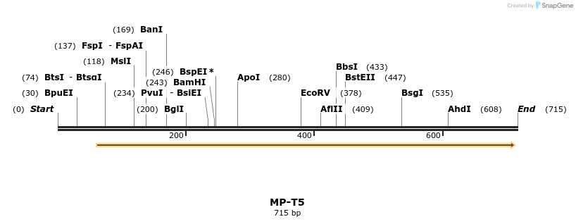 124576_map
