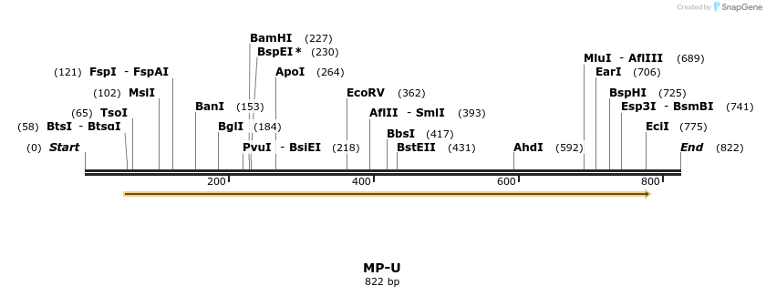 124577_map