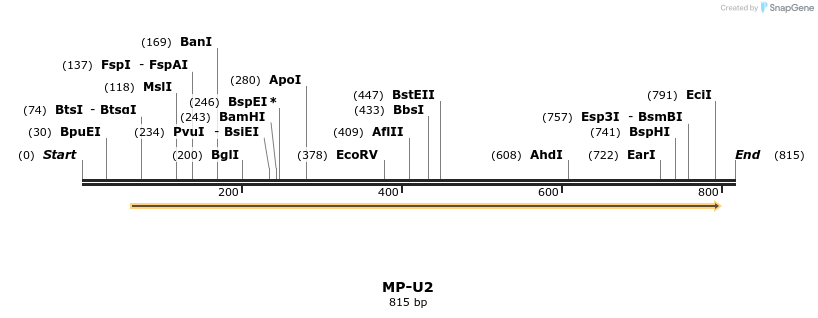 124578_map