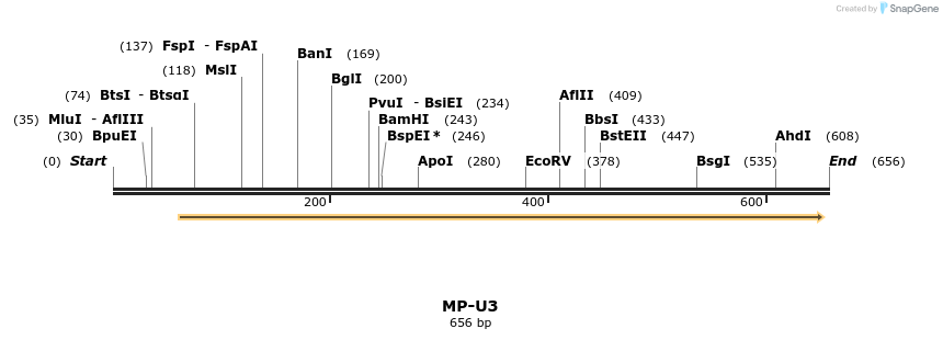 124579_map