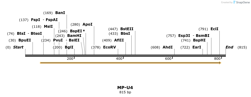 124580_map