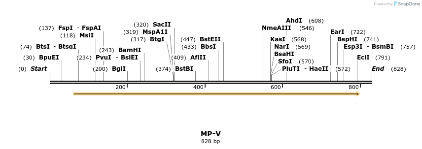 124581_map