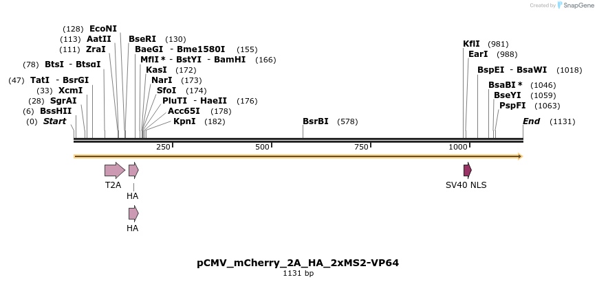 124582_map