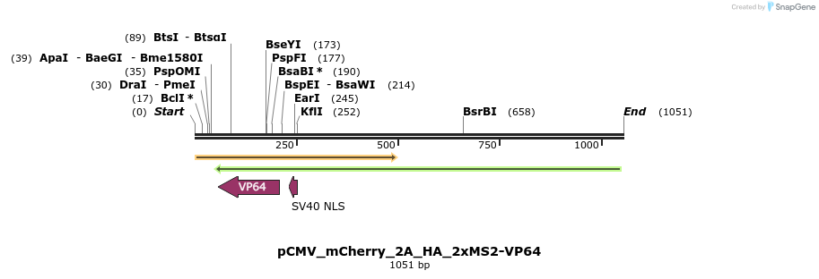 124583_map