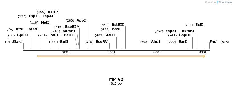 124584_map
