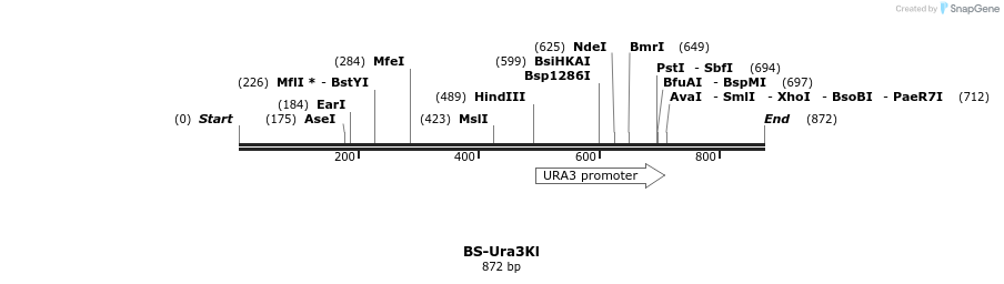 124585_map