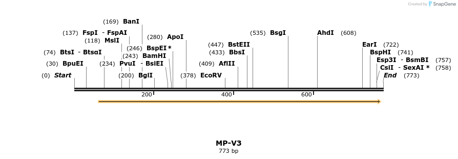 124586_map