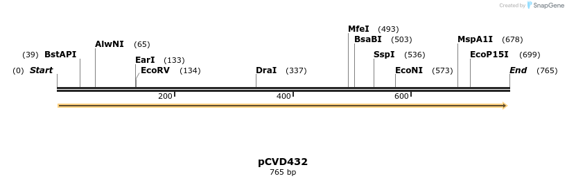 124587_map
