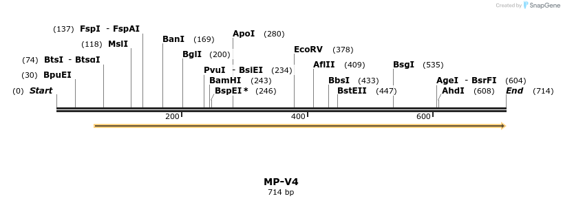 124588_map