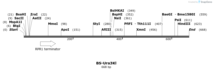 124589_map