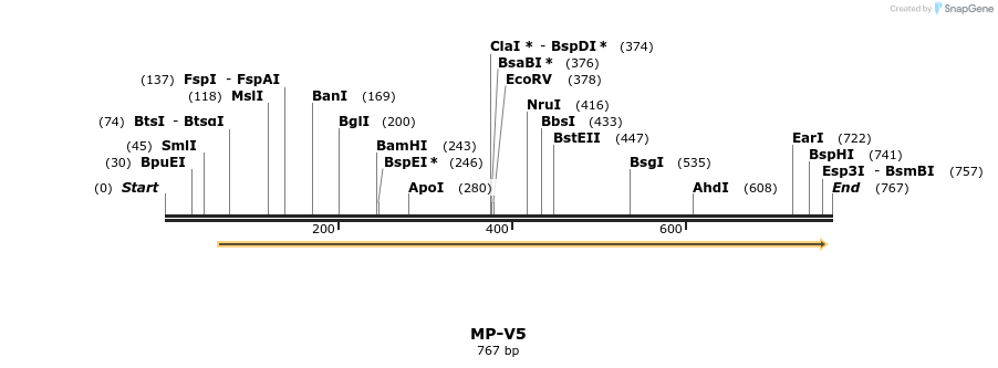 124590_map
