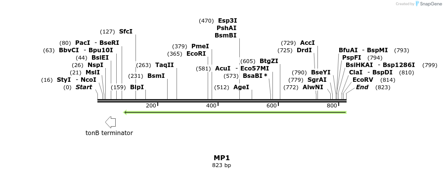 124595_map