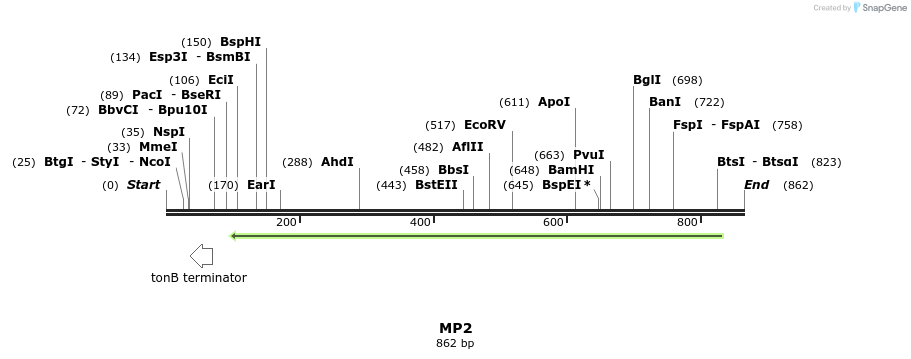 124597_map