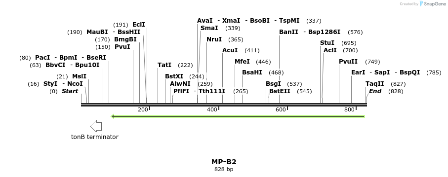 124598_map