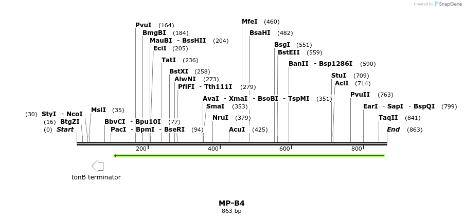 124599_map