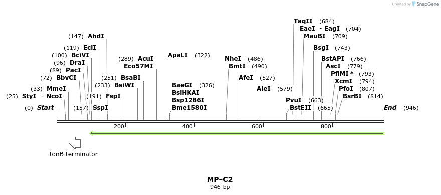 124601_map