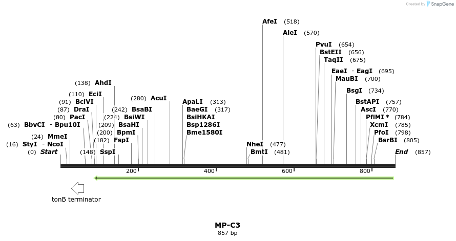 124602_map
