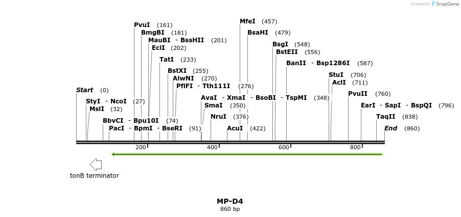 124604_map