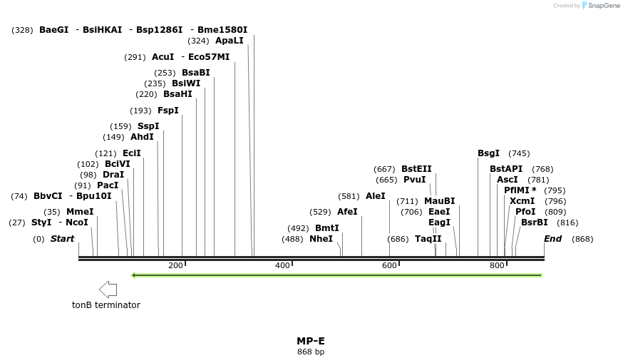 124605_map
