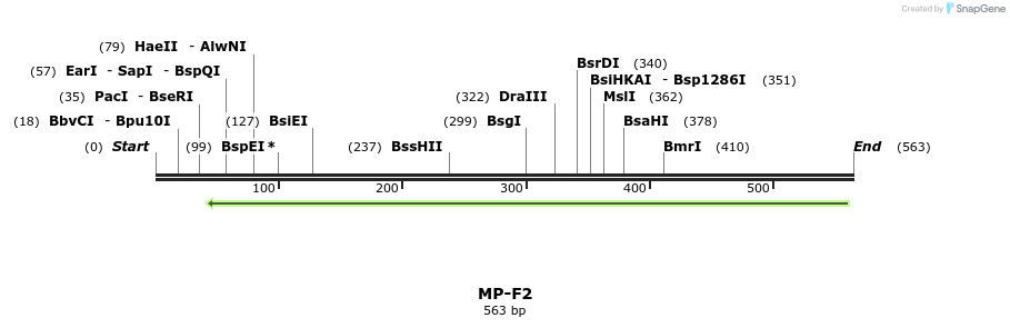 124606_map